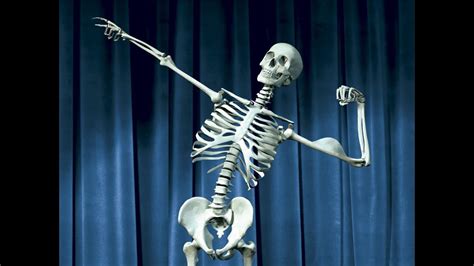 funny skeleton photos